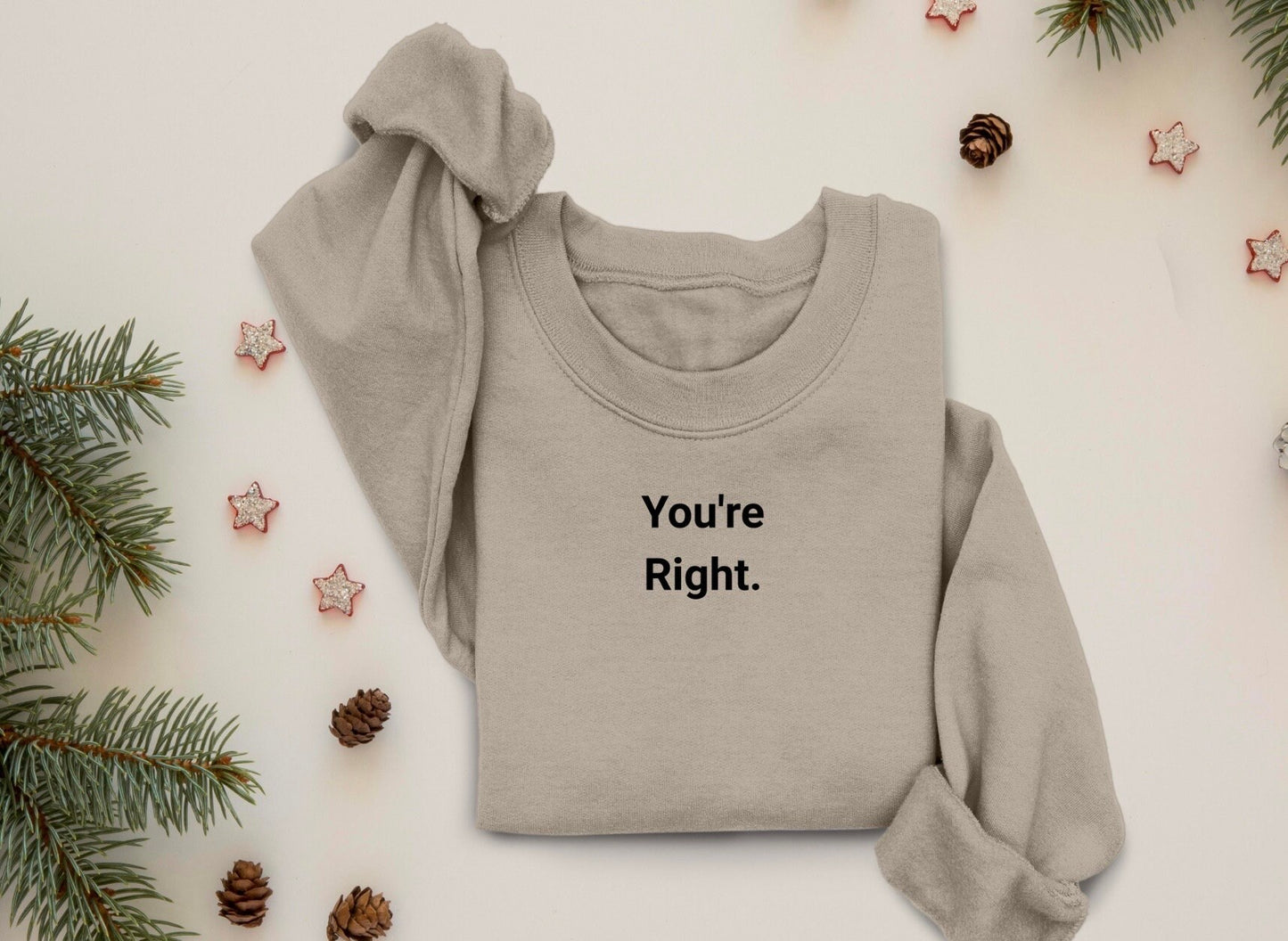 Youre right Sweatshirt, Mental Health Tee, Crewneck Sweatshirt, Oversized Sweater, Comfy Sweater, Christian Sweater, Christian Hoodie, Jesus